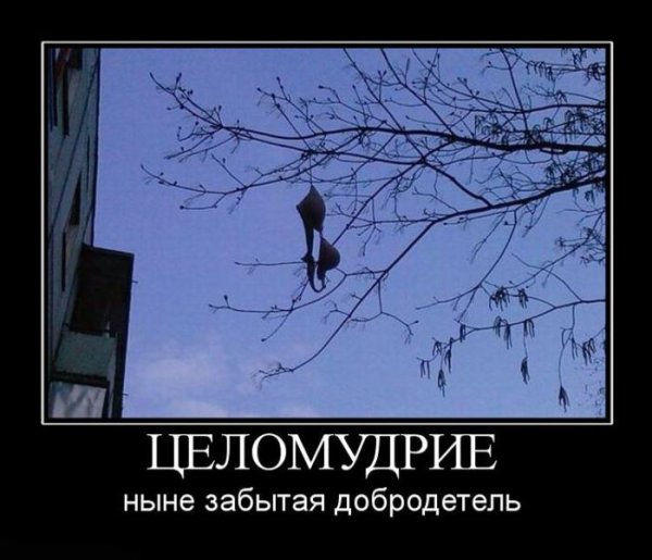 Приколы про целомудрие