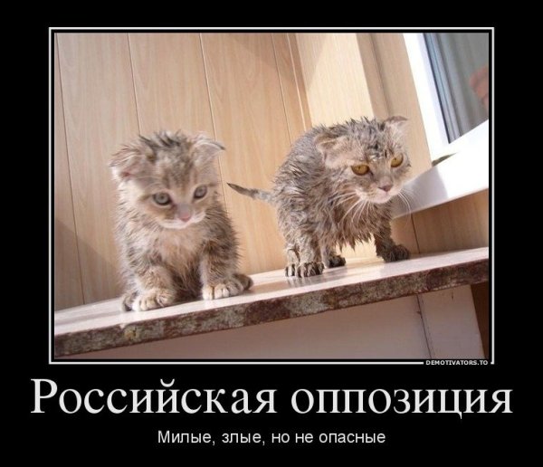 Байден Немцов Каспаров