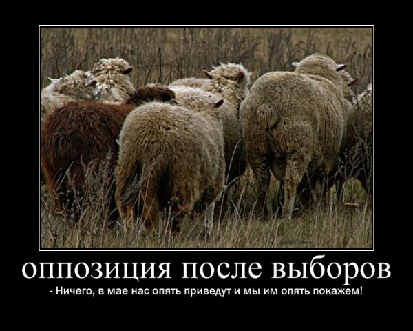 Оппозиция карикатура