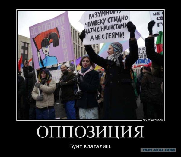 Мемы про оппозиционеров