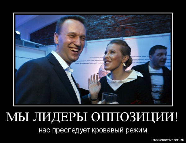 Демотиваторы про митинги
