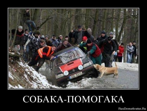 Ралли демотиватор