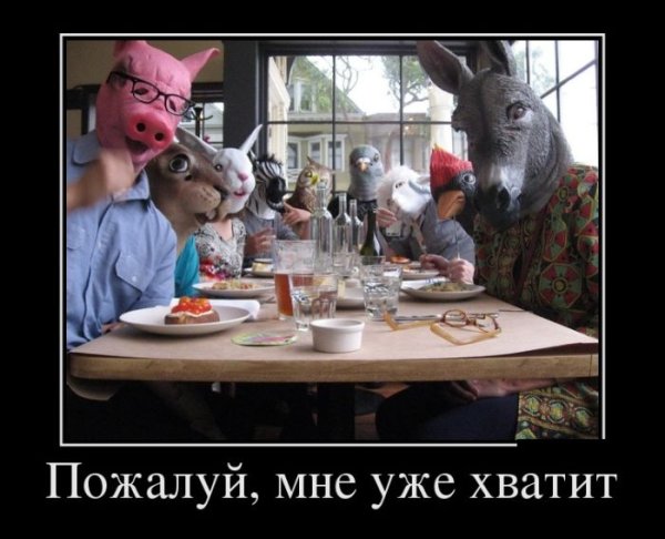 Застолье прикол