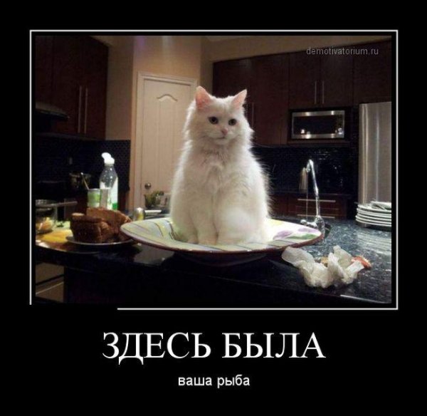 Демотиваторы 2013
