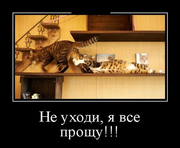 Приколы про дураков