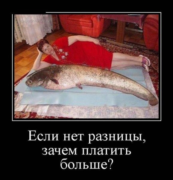 Хабаровск демотиваторы