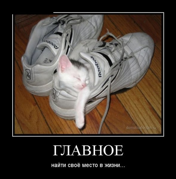 Ржака демовативатор