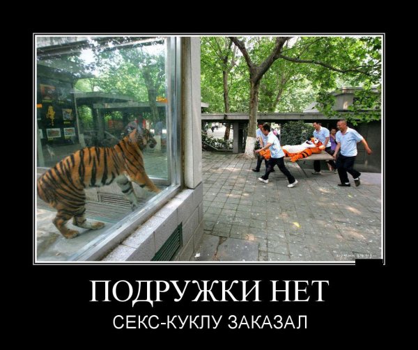 Демотиваторы приколы