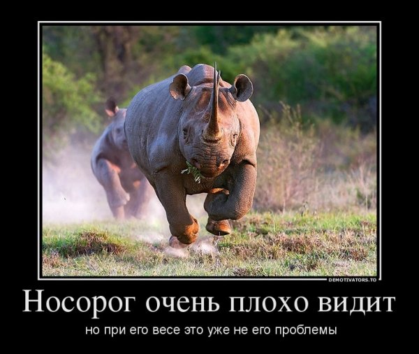 Самые смешные демотиваторы