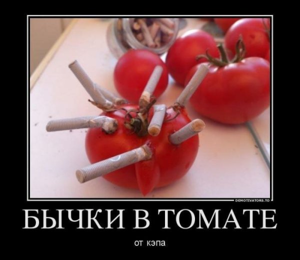 Бычки в томате прикол