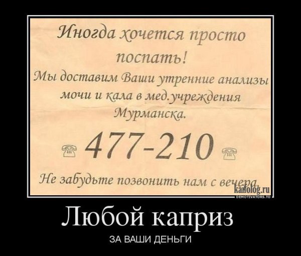 Мемы со слонами