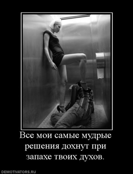 Мудрые демотиваторы
