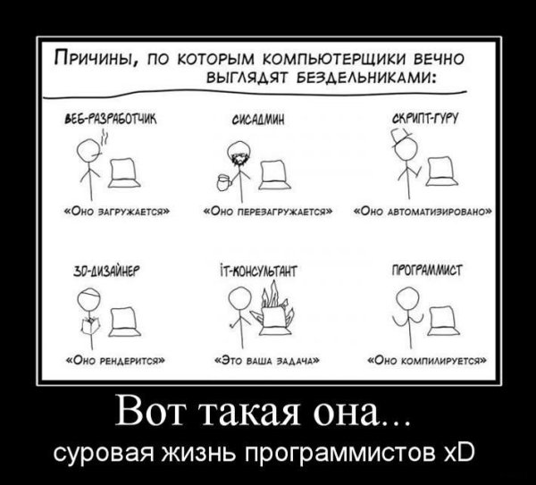 Программист приколы