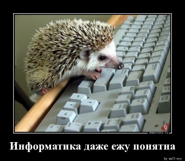 Информатика приколы