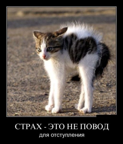 Испуг демотиватор