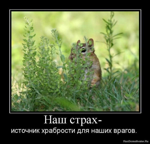 Страх юмор