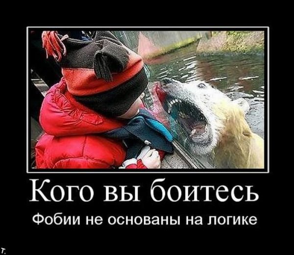 Тревога демотиватор