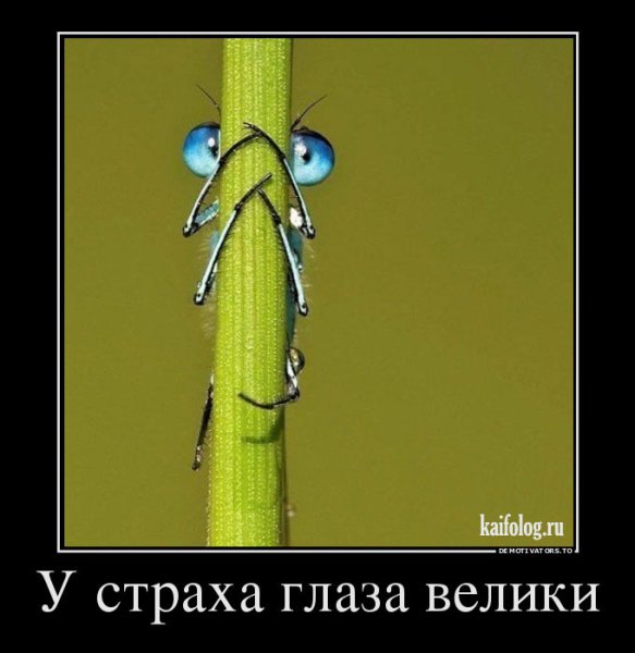 Шутки про страх