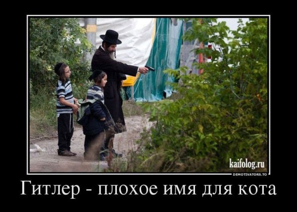 Прикольные демы