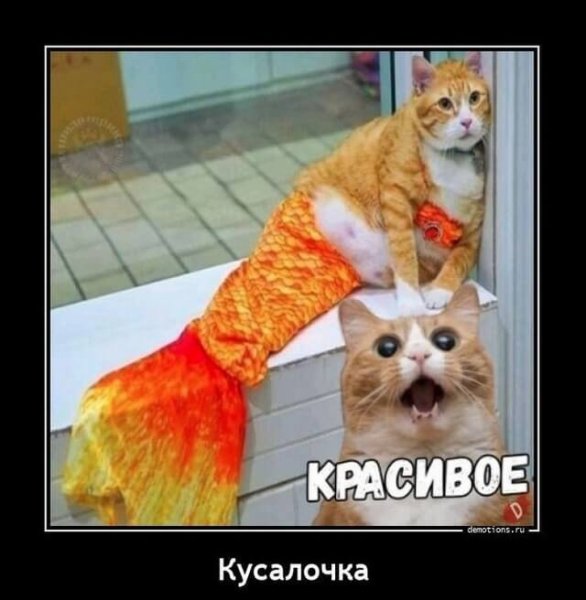 Мир меняется демотиватор