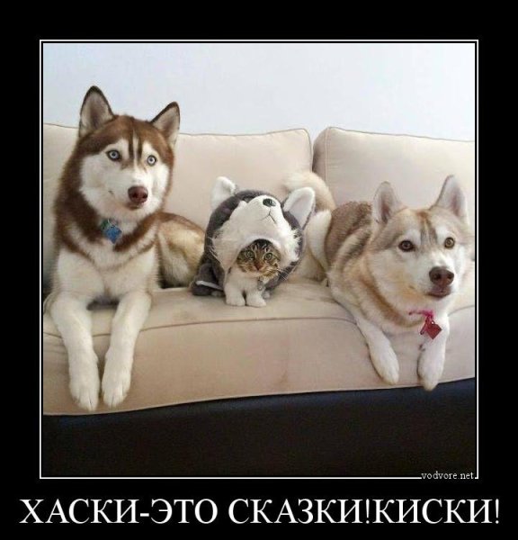 Известные демотиваторы