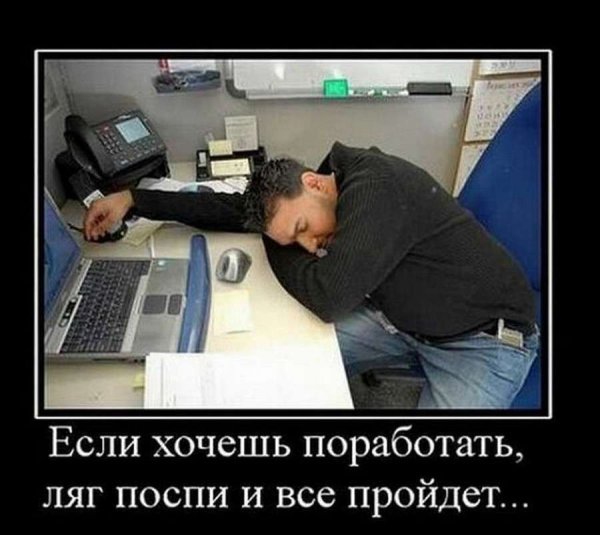 Приколы про работу