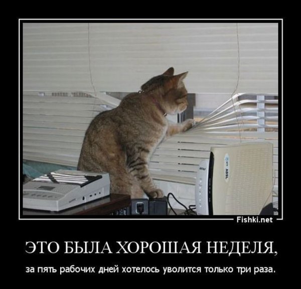 Опять дождь