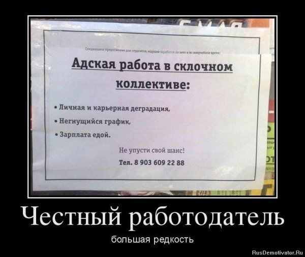 Приколы про работу