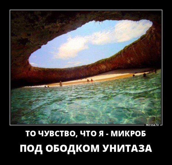 Приколы про лето