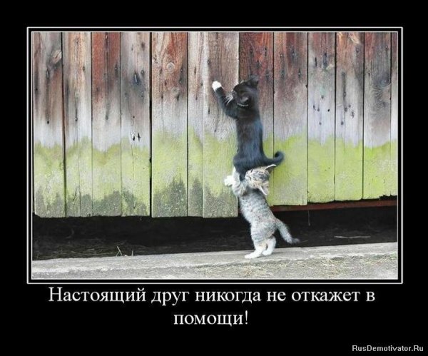 Мотиваторы для поднятия настроения