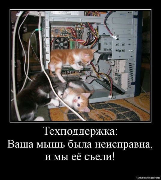 Компьютерные демотиваторы