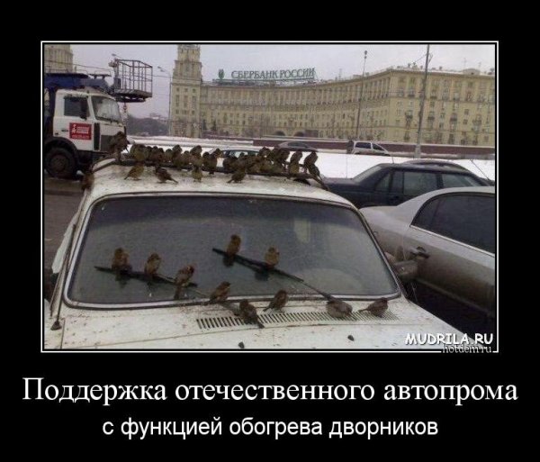 Шутки про дворников