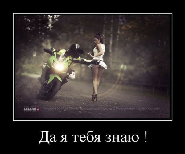 Демотиваторы поддержка