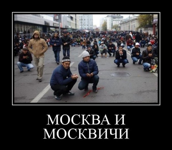 Приколы про Москву