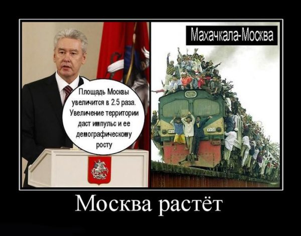 Приколы про Москву