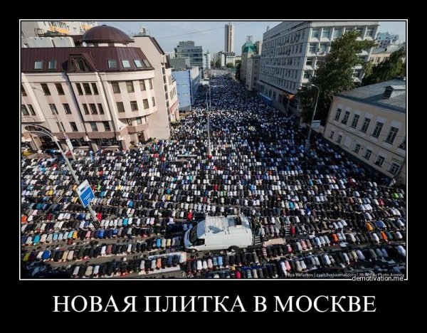 Демотиваторы про митинги