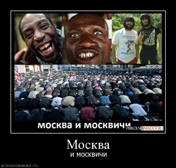 Москвичи демотиватор