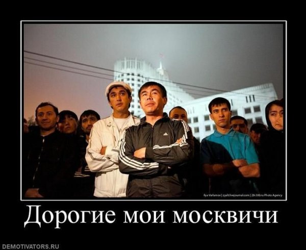 Дорогие Мои москвичи демотиваторы