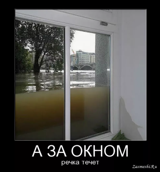 Оконный юмор в картинках