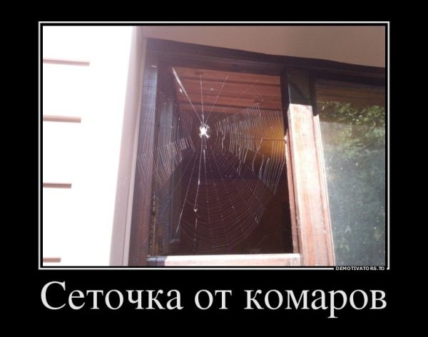 Шутки про окна