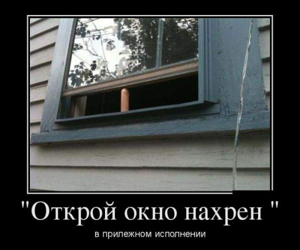 Приколы про окна