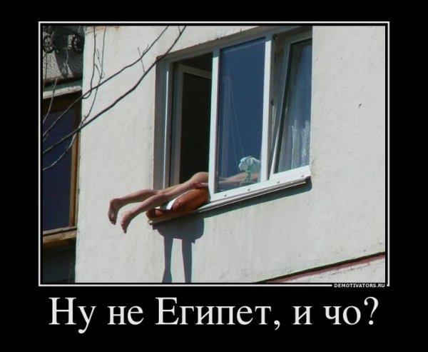Окна юмор