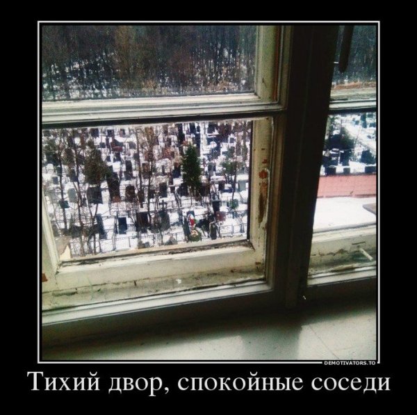 Оконные приколы