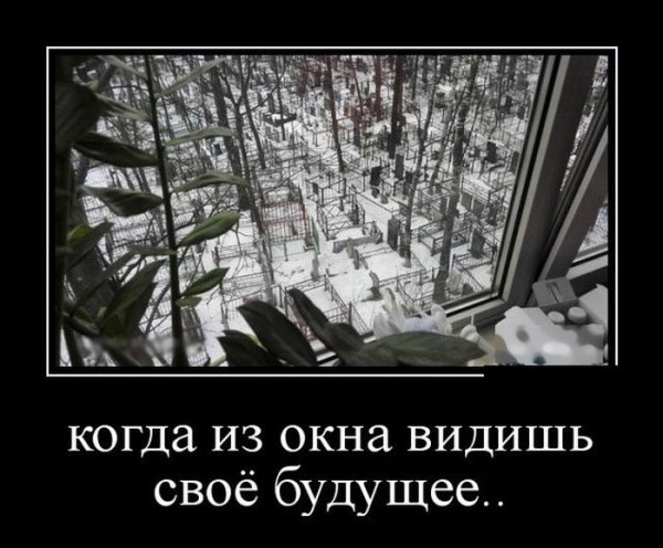 Шторы прикол