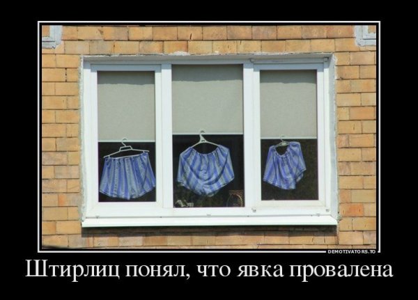 Демотиватор есть окно