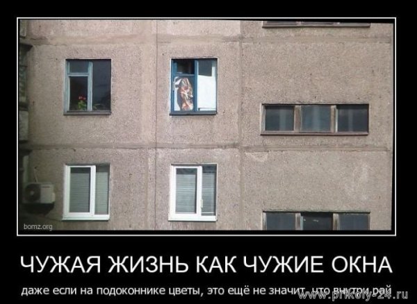 Оконные приколы