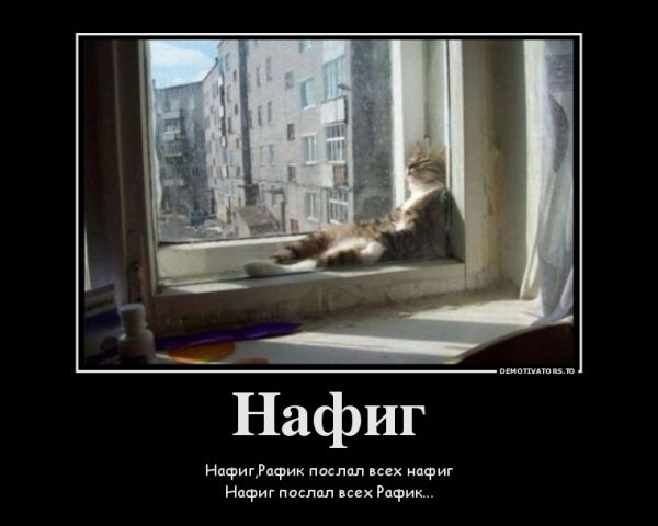 Прикольные пластиковые окна