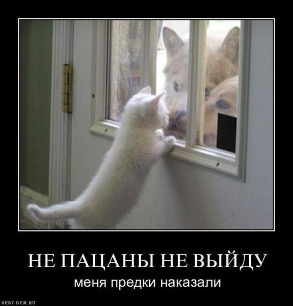 Тепло прикол