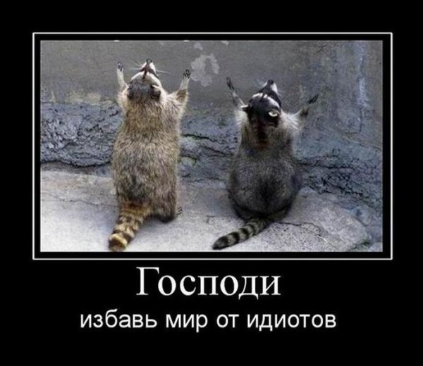 Демотиваторы про идиотов
