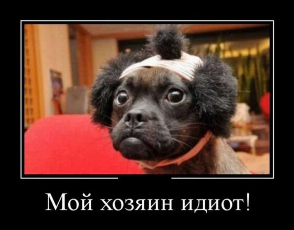 Тост Путина